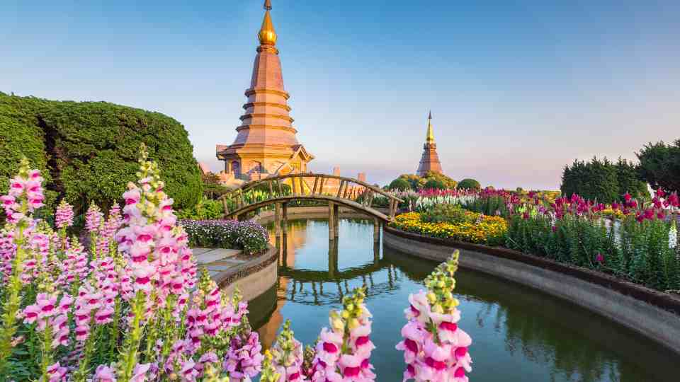 Thailand Travel Vaccinations