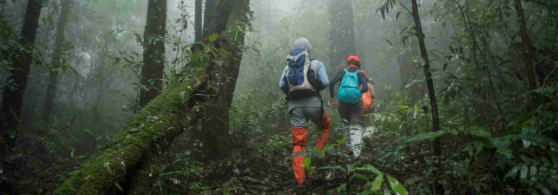 Wear long sleeves and take anti malaria tablets on your vacation. 