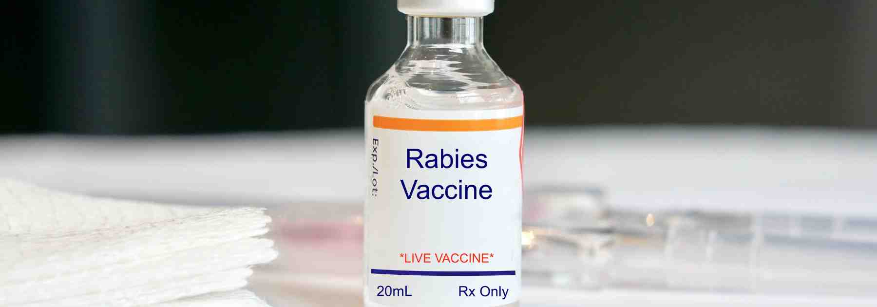 How long does the rabies vaccine last and do I need a booster?
