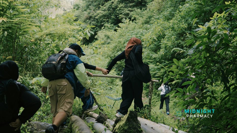 Yellow fever risk highlighted by an image of jungle trekkers.