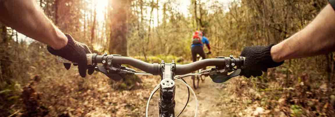 Why get a tick remover tool and vaccines for travel